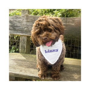 Halsband hond met sjaal - Afbeelding 4